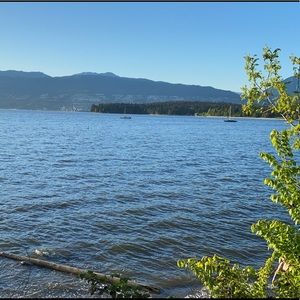 Meet your Posher, Aline